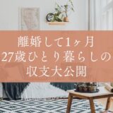 【２７歳離婚して１ヶ月】出ていくお金と入ってくるお金〜収支大公開〜